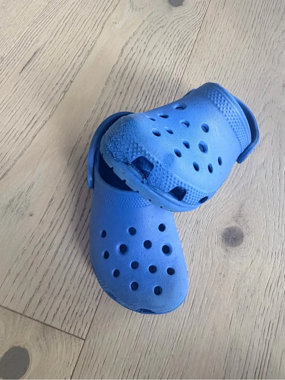 CROCS Kids Royal Blue Classic Clogs